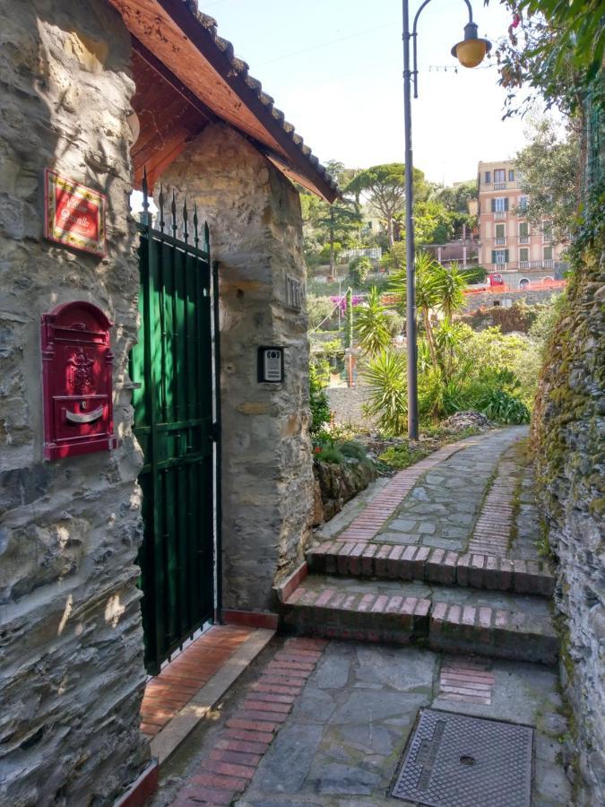 Villino Brunetto Azienda Agrituristica カモーリ エクステリア 写真