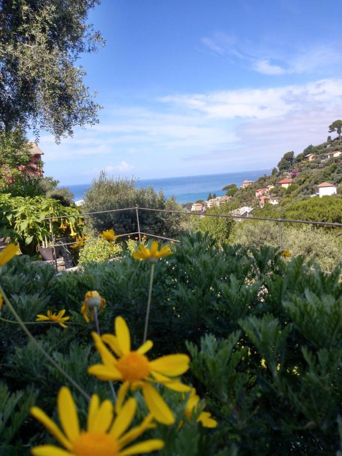Villino Brunetto Azienda Agrituristica カモーリ エクステリア 写真