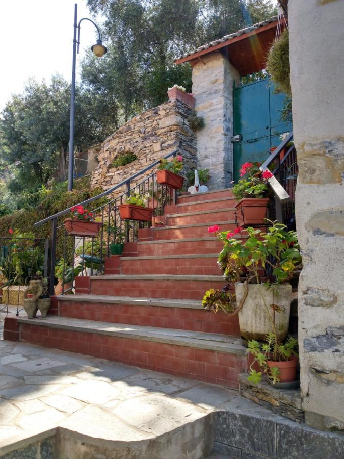 Villino Brunetto Azienda Agrituristica カモーリ エクステリア 写真